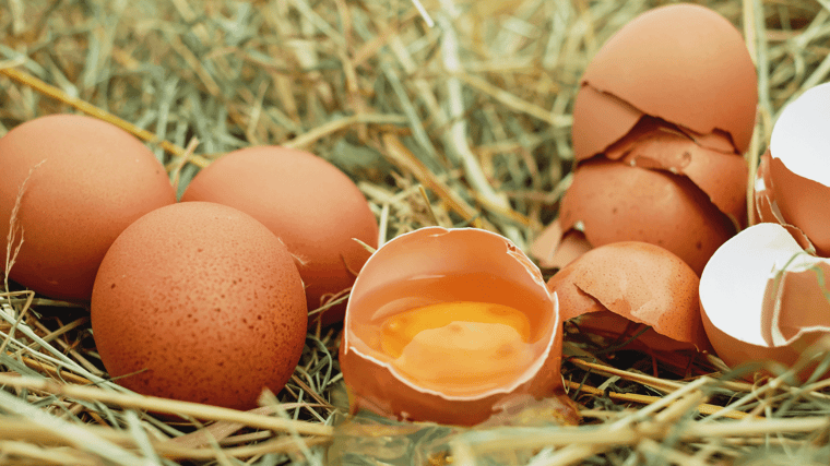 Is it dangerous to feed my baby undercooked egg yolk?